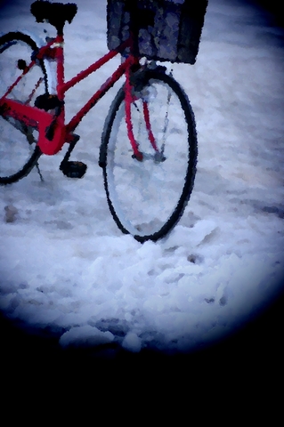 11.1.25.雪の自転車.JPG