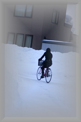 11.1.25.雪の自転車1.JPG