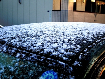 11.11.15.車の雪s.jpg