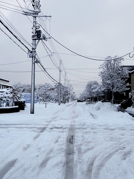 11.11.17.初雪1s.jpg