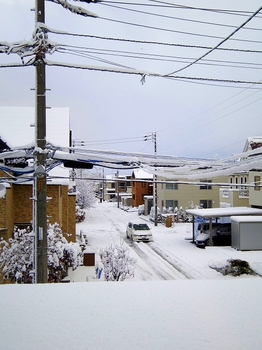 11.11.17.初雪9s.jpg