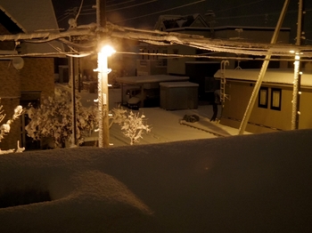 11.11.17.初雪s.jpg