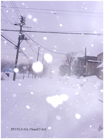 11.3.3.雪.JPG