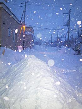 雪の日3.JPG