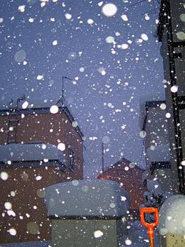 雪の日.JPG