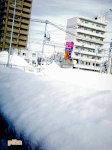 14.1.20.雪景色.JPG