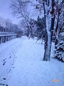 14.11.14.雪化粧散歩道.jpg