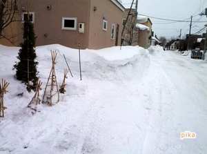 14.3.9.最終排雪.jpg