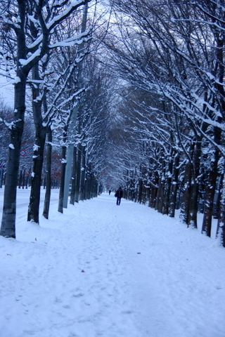 雪の歩道.JPG