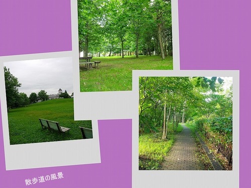 s-s-散歩風景.jpg